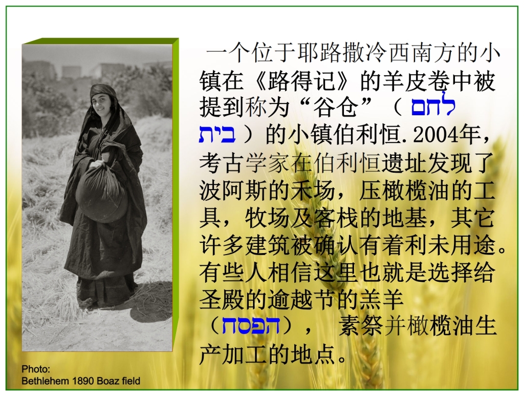 Chinese Language Bible Lesson First Fruits Ruth went to Baoz' barley fields