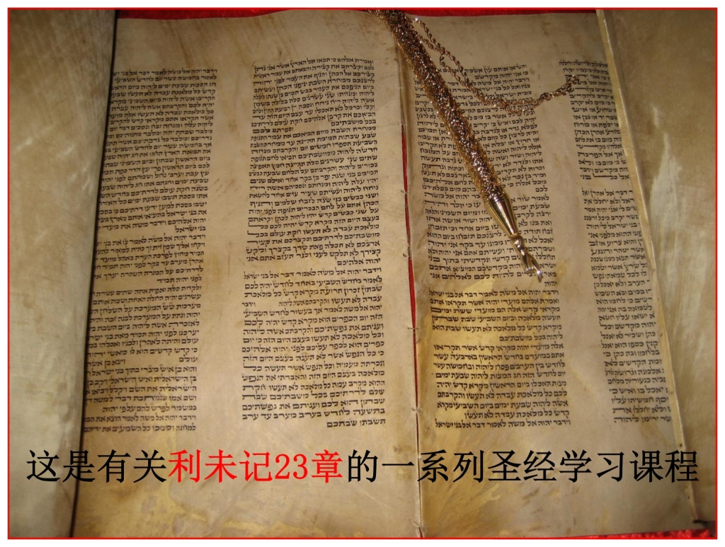 Chinese language Bible study Torah Scroll opened to Leviticus 23