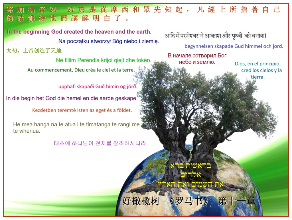 Good Olive Tree blessing the Earth with the Scripture Chinese language Bible study