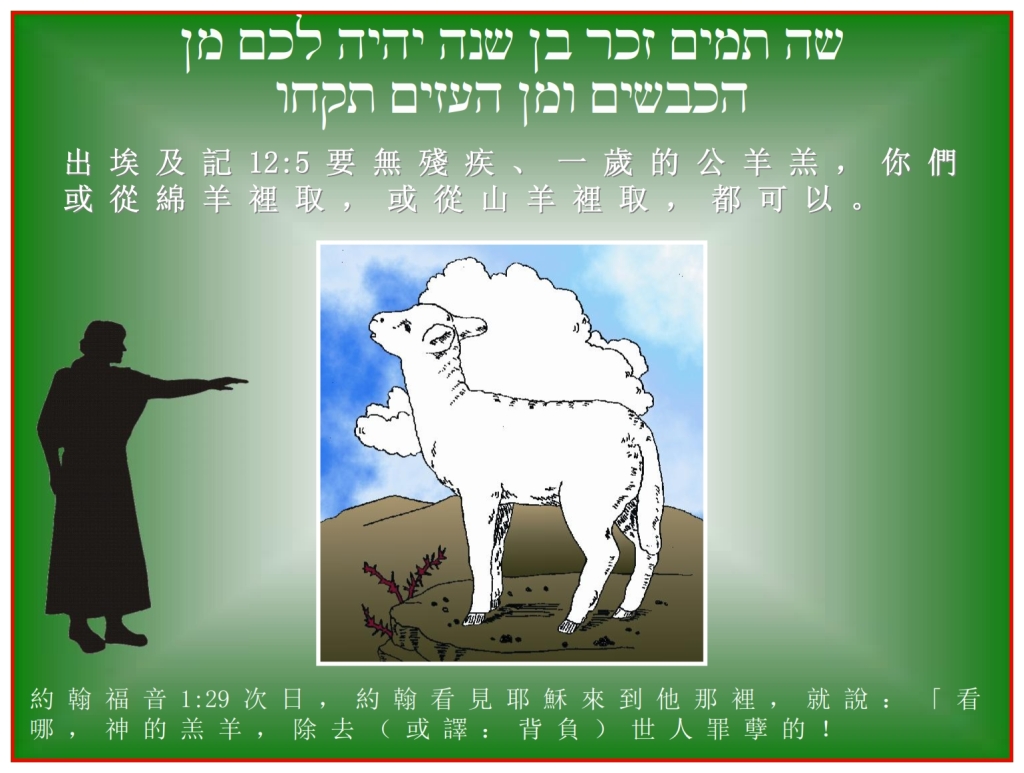Chinese Language Bible Lesson John said  Jesus is the Passover Lamb