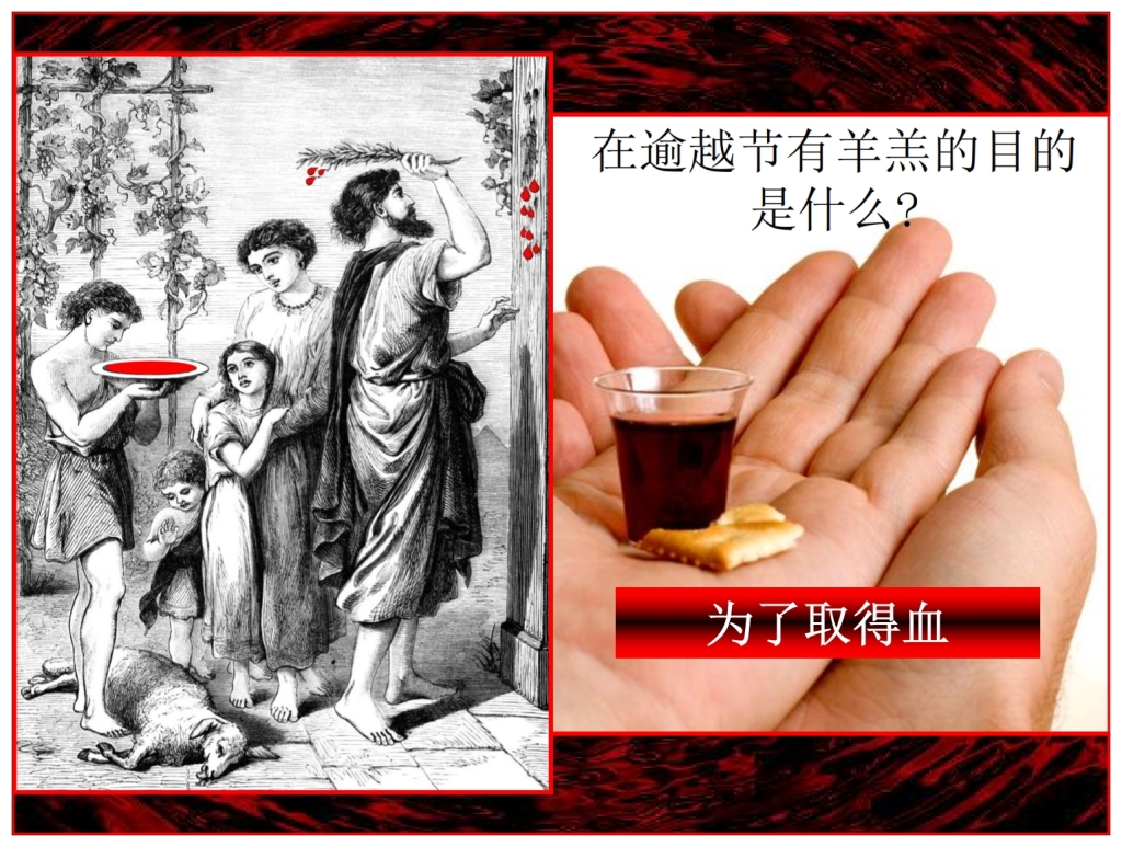 Chinese Language Bible The Passover Lamb was slain for the blood