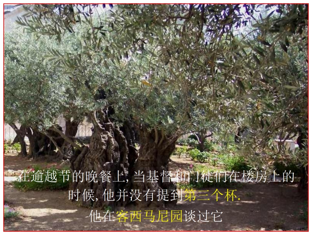 Chinese Language Bible Study four cups The Third spoke of  in Gethsemane Garden