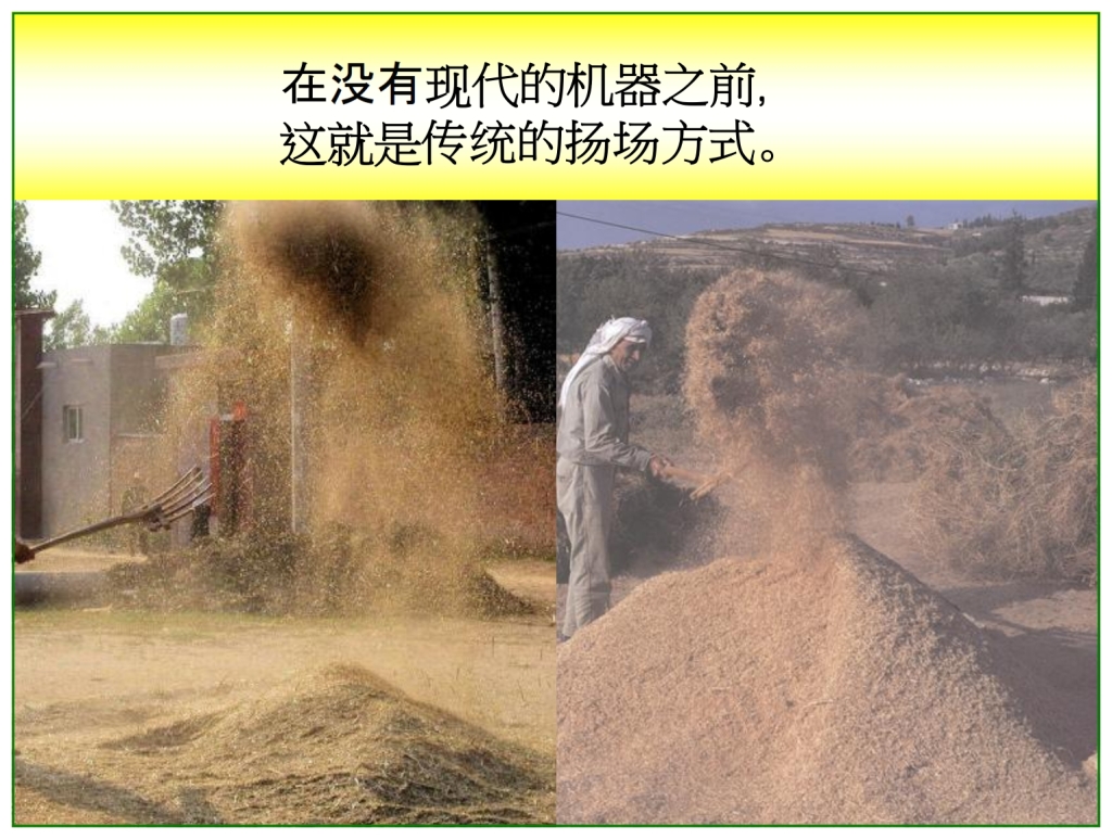 Chinese Language Bible Lesson First Fruits Barley is winnowed after threshing 