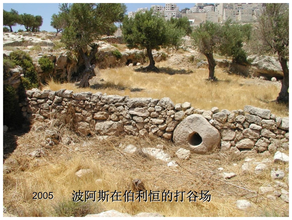 Chinese Language Bible Lesson First Fruits Boaz Threshing Floor archaeological dig 2005