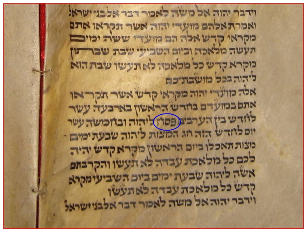 Leviticus 23 Torah Scroll showing the word Passover in Hebrew Chinese Language Bible study