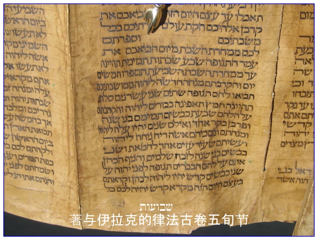 Chinese Language Bible Lesson Feast of Weeks Hebrew Torah Scroll Leviticus 23