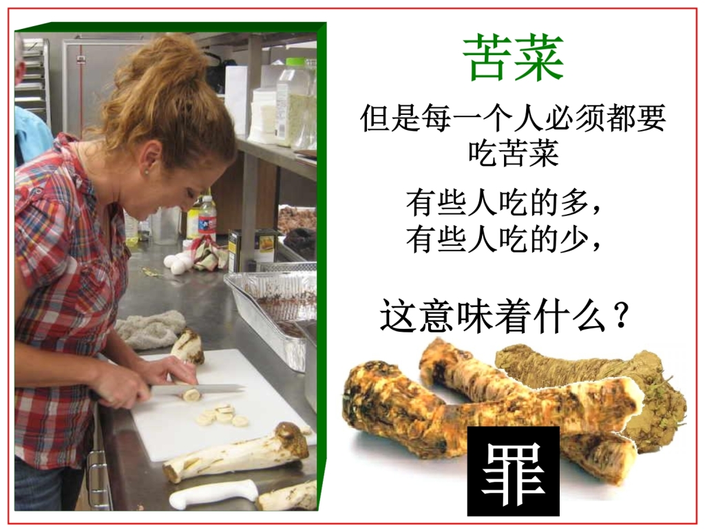 Chinese Language Bible Lesson Horseradish was eaten in Egypt for Passover