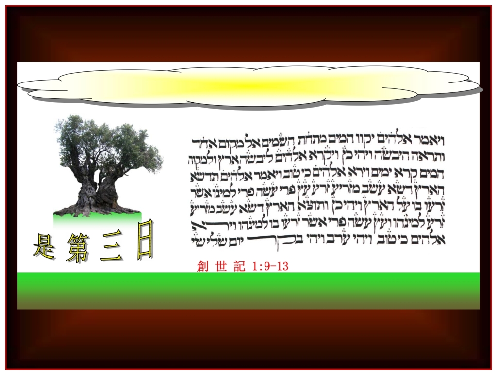 Chinese Language Bible Lesson everything on the Third Day of Creation was Good