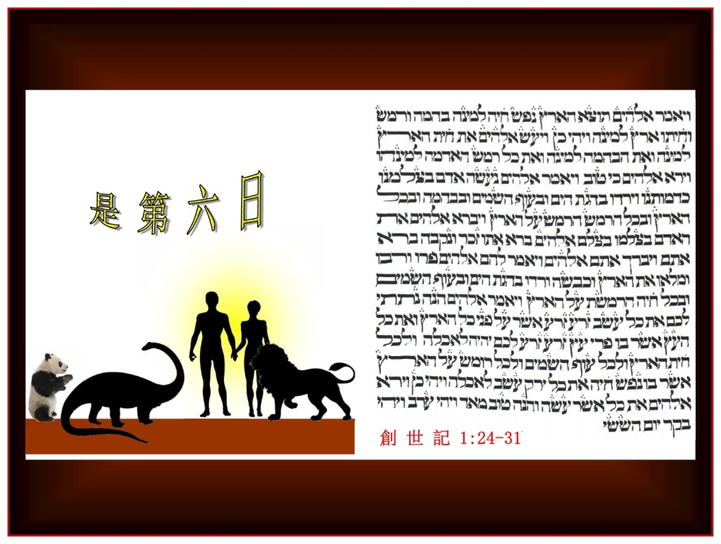 Chinese Language Bible Lesson everything on the Sixth Day of Creation was Good