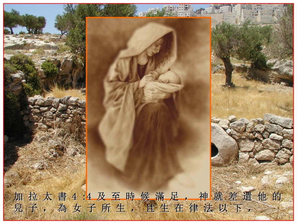 Chinese Language Bible Lesson The Woman's seed was The Messiah Jesus