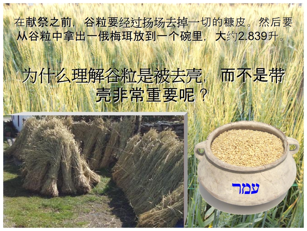 Chinese Language Bible Lesson First Fruits The barley threshed and winnowed 