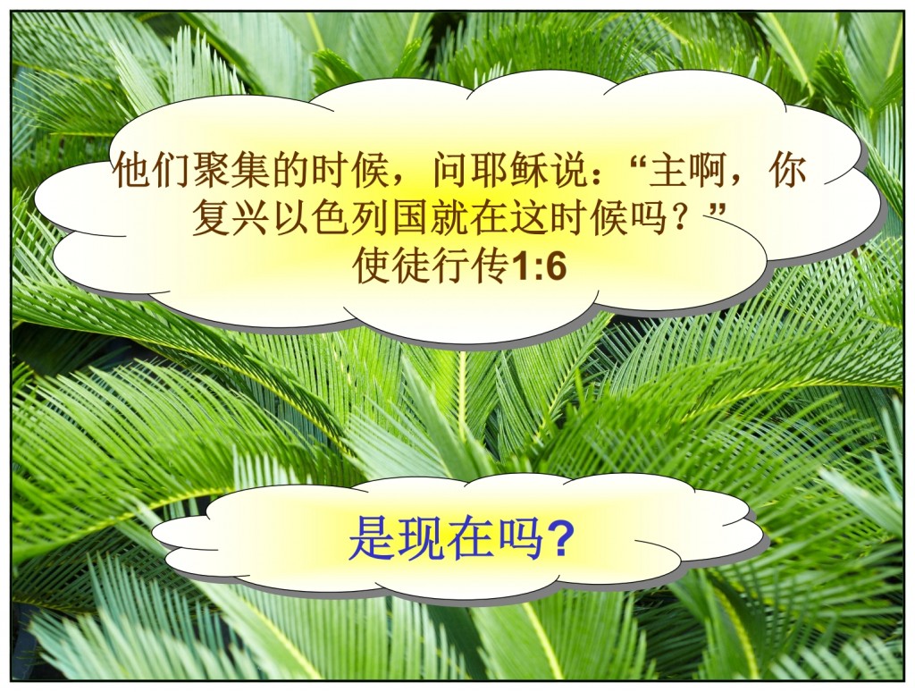 Many questions about the Kingdom of God Chinese language Bible study