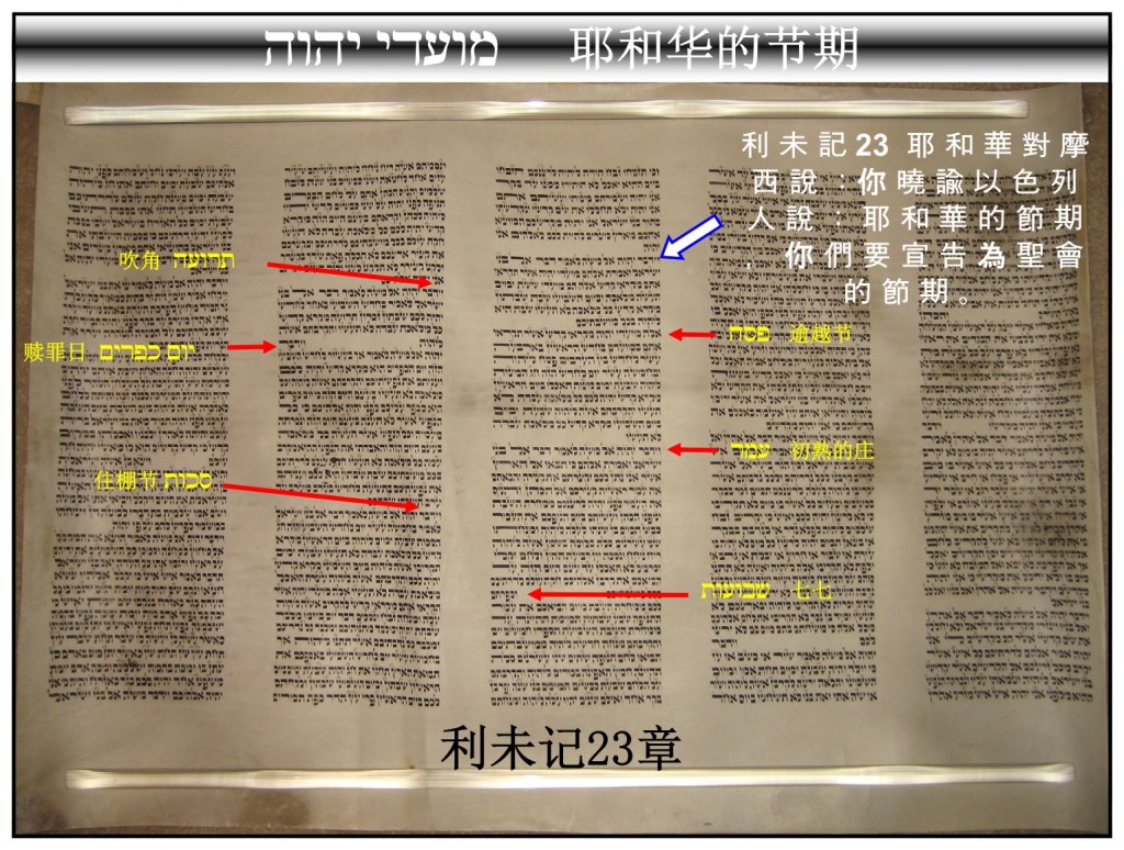 Torah Scroll showing the Feasts of the Lord Leviticus 23 Chinese Language Bible Study