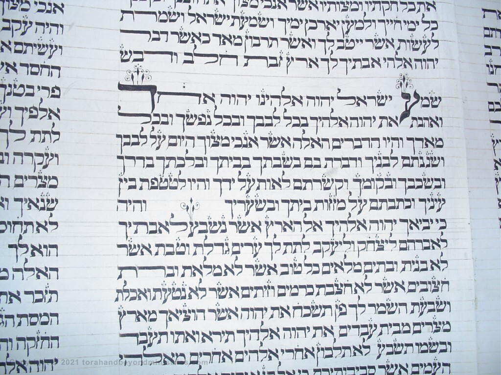 Deuteronomy 6 from a Torah Scroll written 250 years ago in Lithuania This section shows God's commandment for the parents to teach the children God's will.