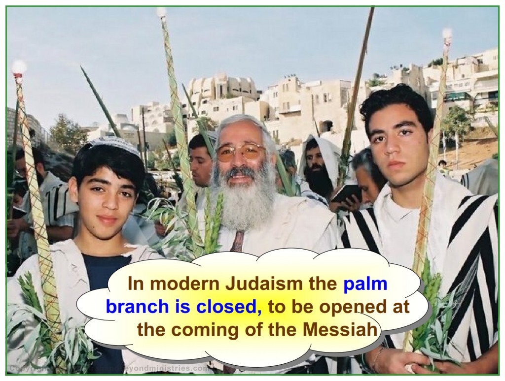 The palm branch is closed awaiting the Messiah