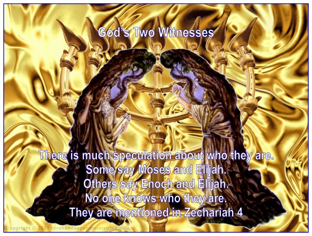 The Two Witnesses of the Tribulation start their witness at the beginning of the Tribulation. That time period is also called the "Time of Jacob's Trouble.