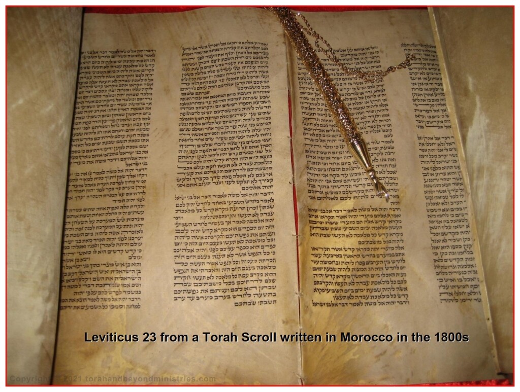  Torah written in Poland 1800s showing Leviticus 23 - Feasts of the Lord Leviticus 23