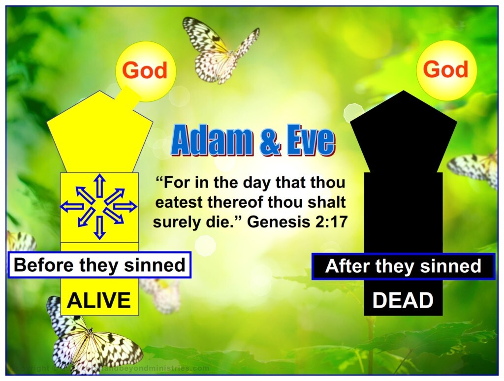 The true meaning of death is separation from God. The very moment Adam and Eve ate the forbidden fruit their spirit, their life, was seperated from God. It took another 900 years for their body to cease functioning. 