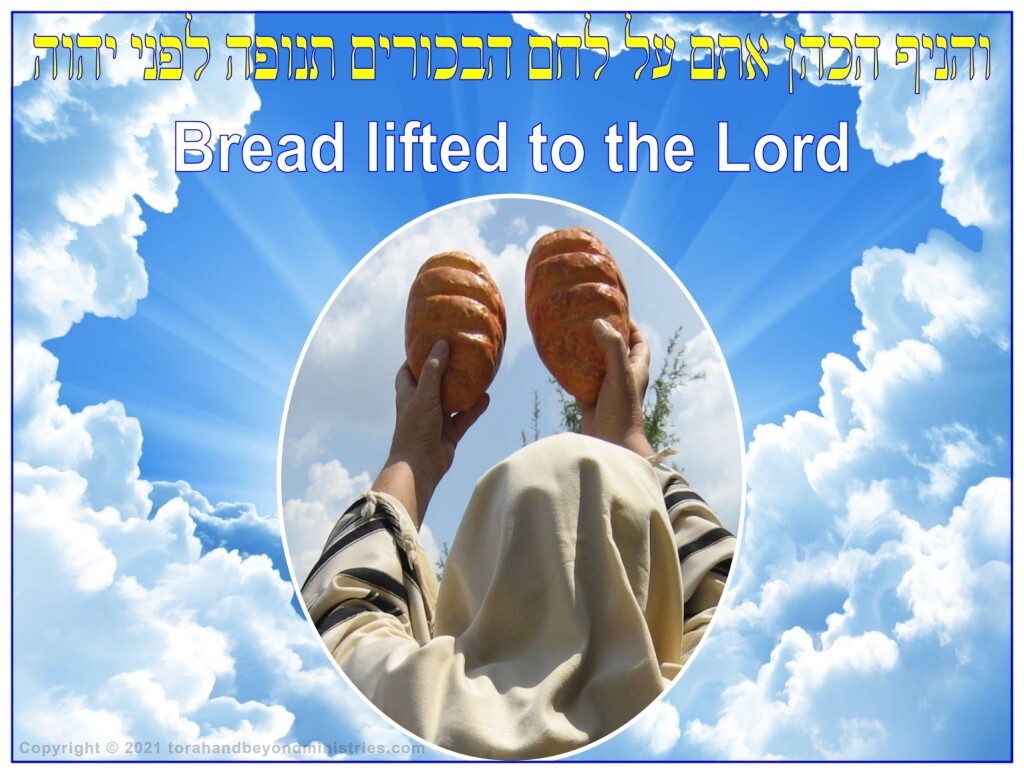 Hebrew Priest lifting bread to the Lord at Shavuot, Pentecost.