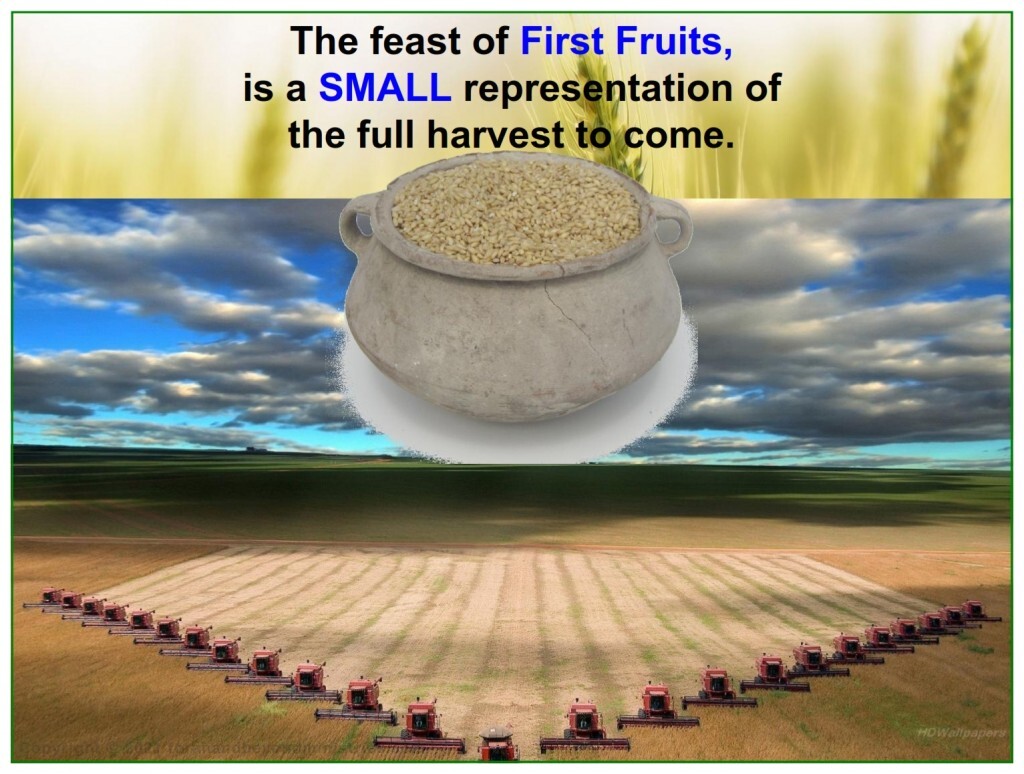 Some day there will be a huge harvest Feast of Firstfruits