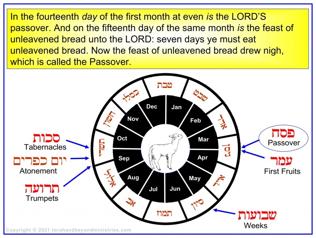 Chronological chart of the Hebrew calendar of the Leviticus 23 in Hebrew and English