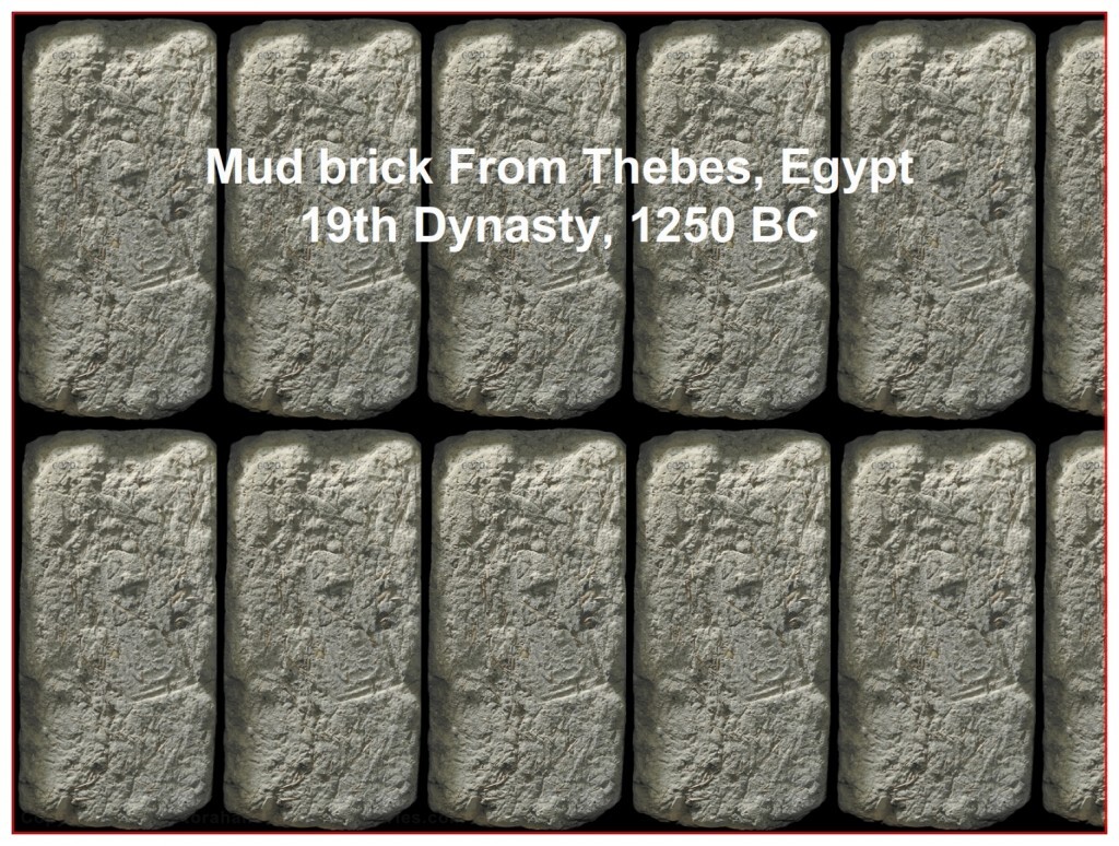 authentic mud bricks from the 19th dynasty in Egypt