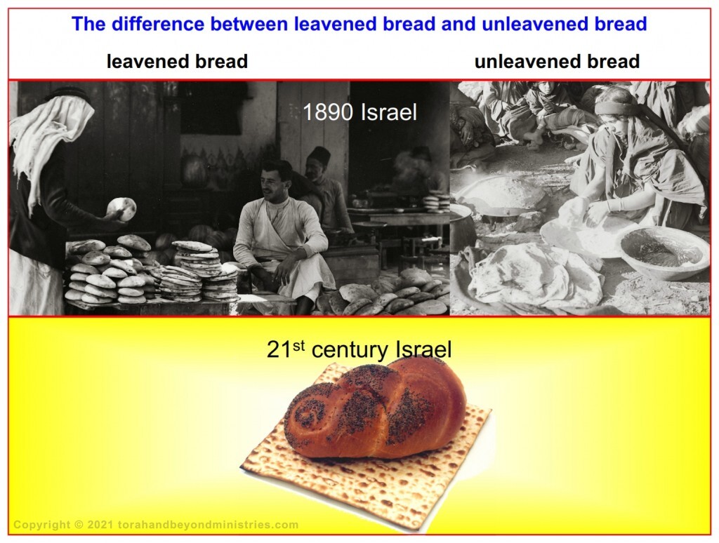Comparing Matzo with bread that contains yeast