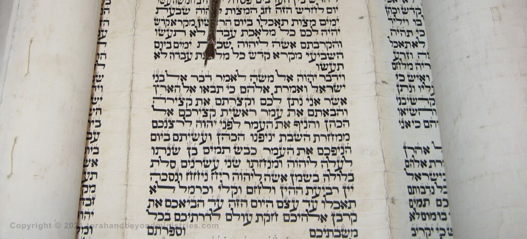 Torah Scroll written in Morocco on goat skin. The yad (pointer) is indicating the verse Leviticus 23:10