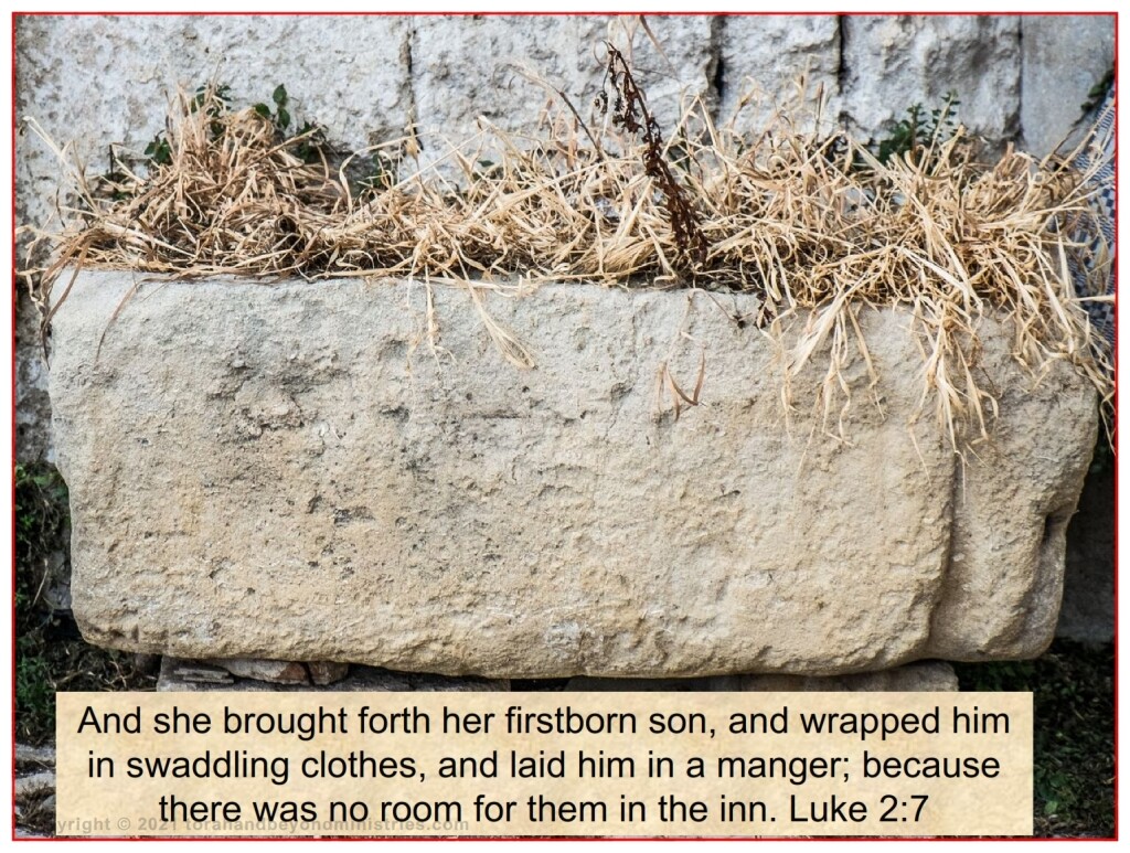 Most Christians today have no idea what a "manger" is. In Israel a manger is a hollow space cut out of a large rock. This area is filled with food usually for sheep and goats. 