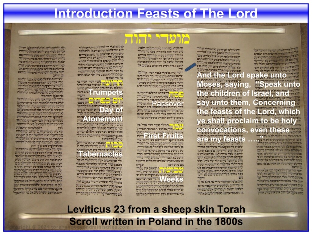 Open Torah Scroll showing Leviticus 23 - Feasts of the Lord Leviticus 23