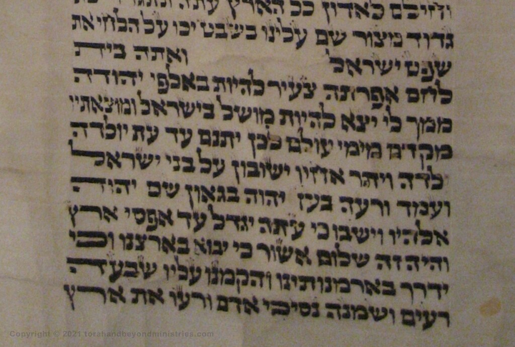 The book of Micah 5 as seen in the Hebrew Scroll of the 12 Prophets
