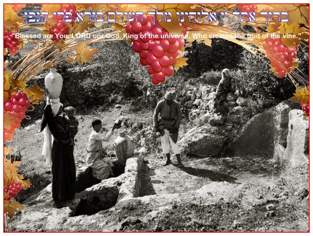 Ancient wine press discovered at Ein Kerem on the west side of Jerusalem Photo 1890