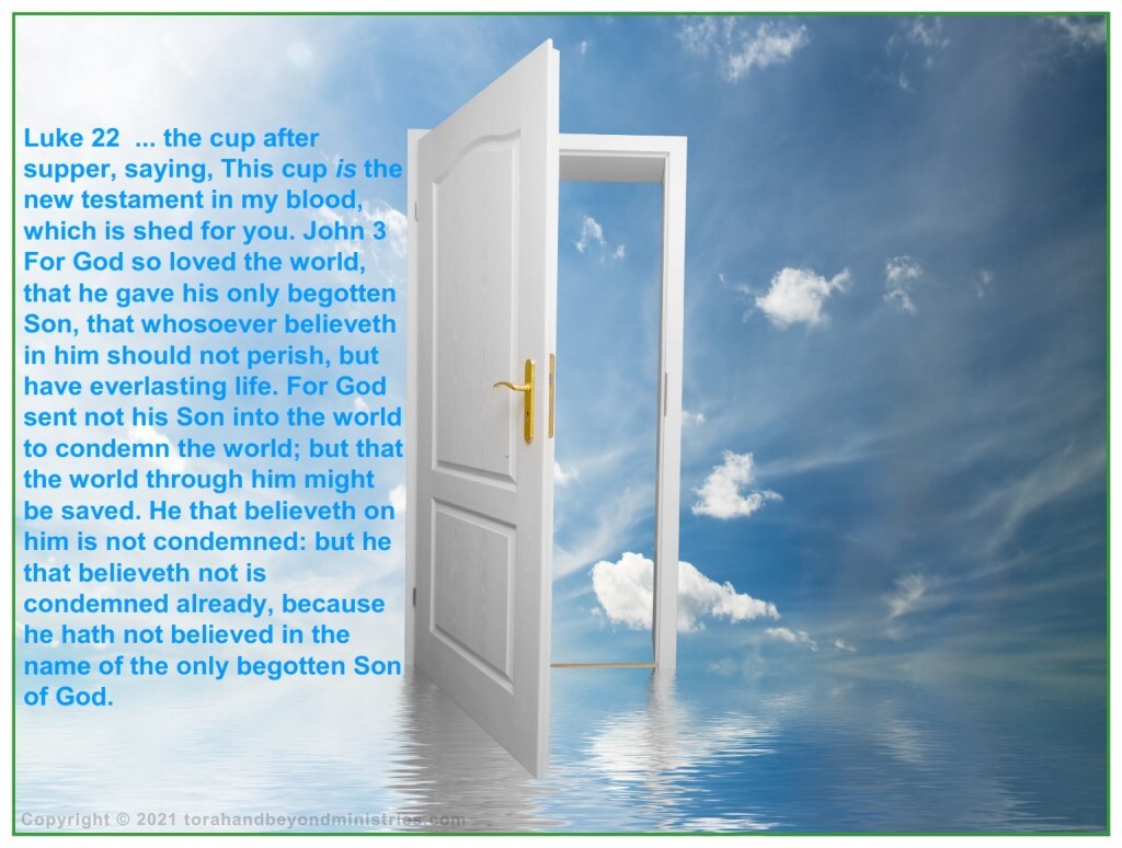 All the world has been given a choice, if they want to accept Jesus as the one promised to Adam and Eve in the Garden of Eden or not. 