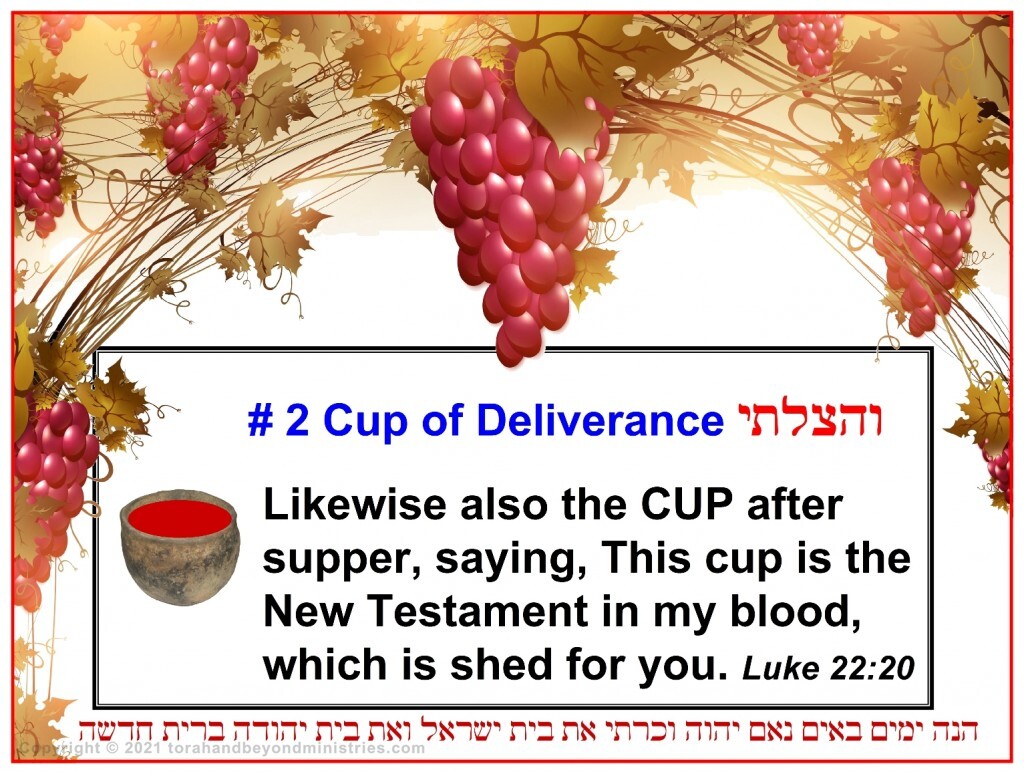 The cup of deliverance is the cup The Messiah Jesus said was the New Covenant