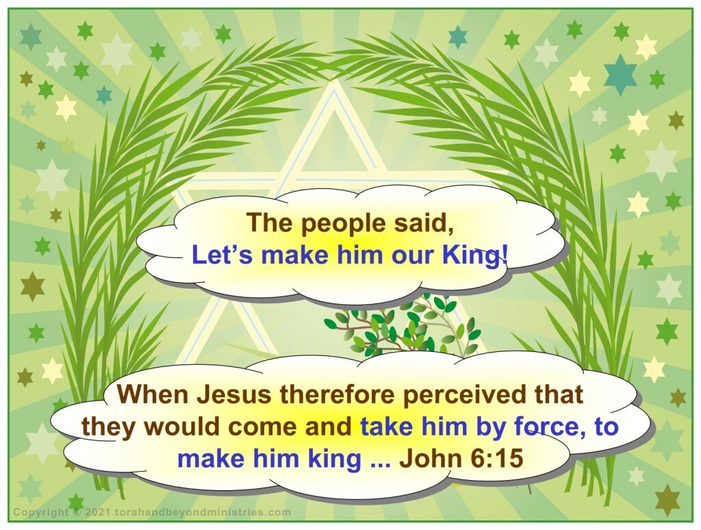 The people wanted to force Jesus to become King