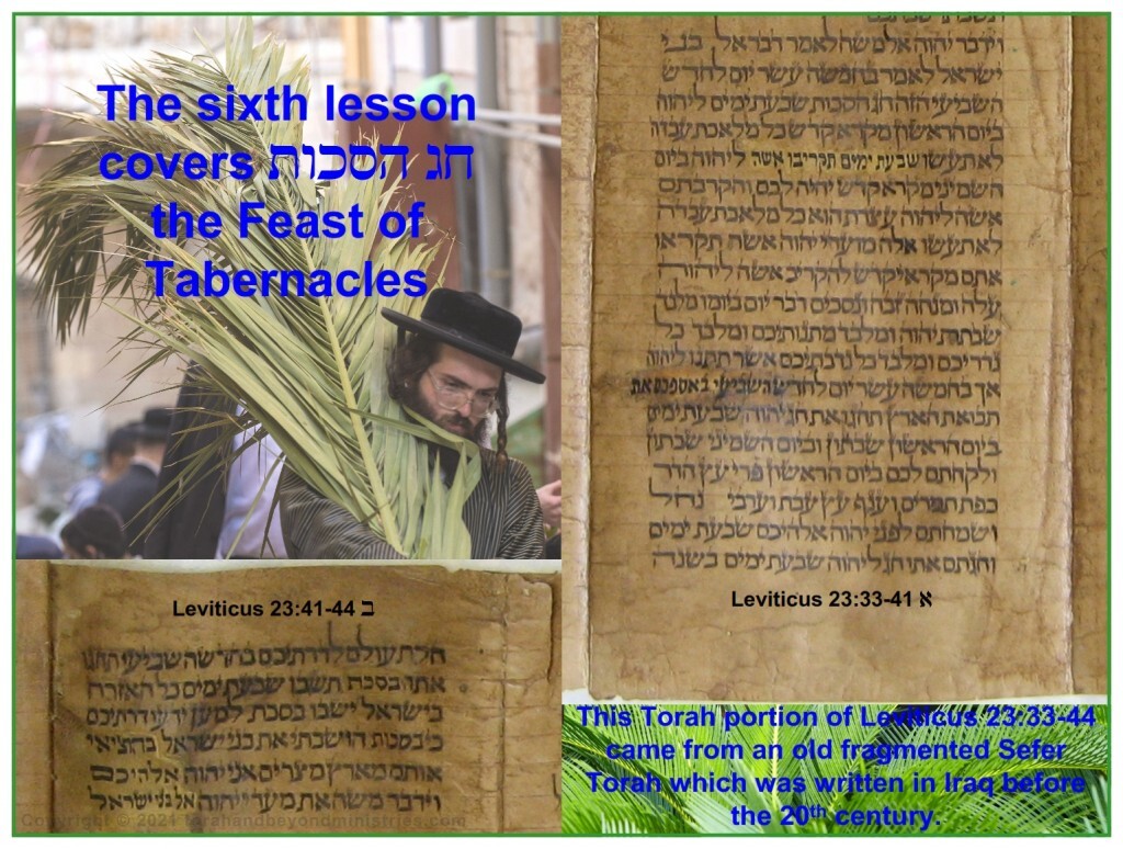 Feast of Sukkot - Tabernacles is the last of the Feasts of the Lord Leviticus 23
