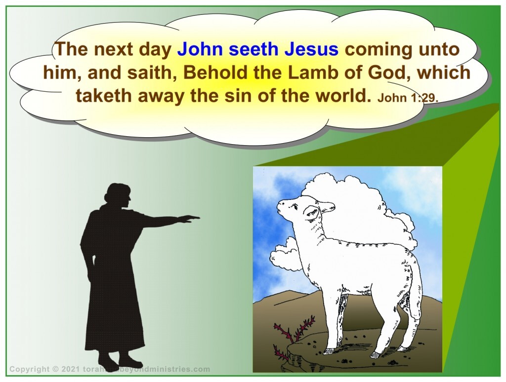 John the Baptist said Behold the Lamb of God which taketh away the sins of the Earth