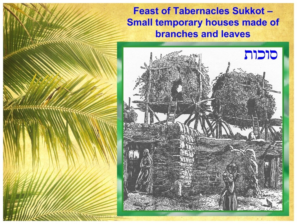 Sukkot, small temporary houses made of branches and leaves