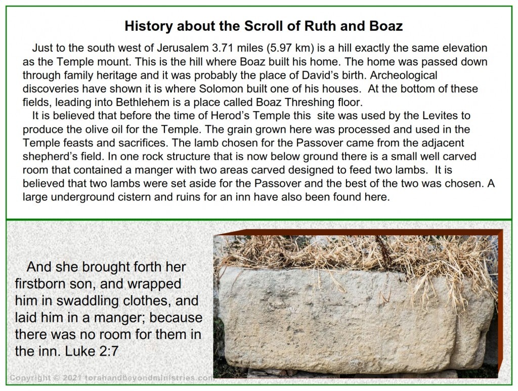 A carved stone manger used to feed sheep was found near Bethlehem at Boaz threshing floor. 