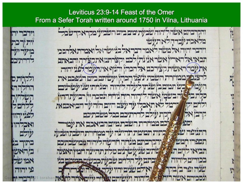 Torah Scroll written in Vilnius, Lithuania around 1750 showing the word omer as the sheaf of Firstfruits