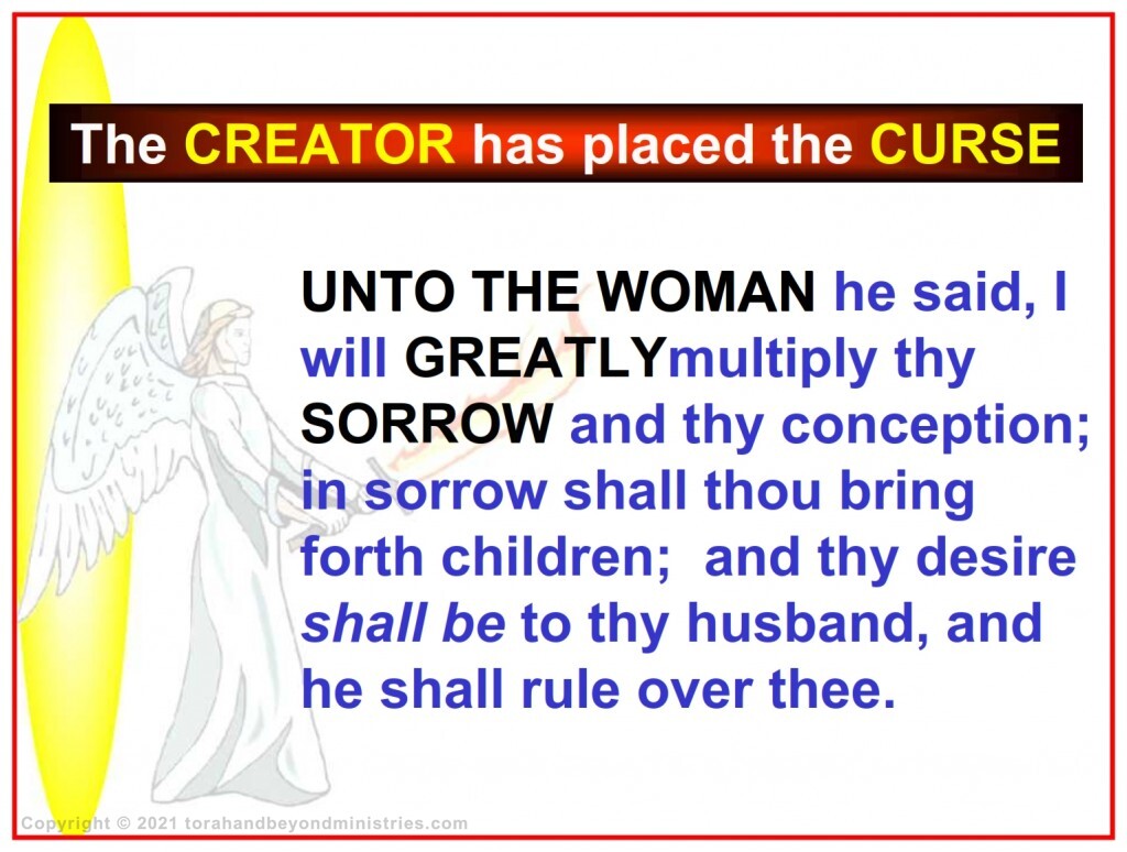 Woman was cursed in the Garden of Eden