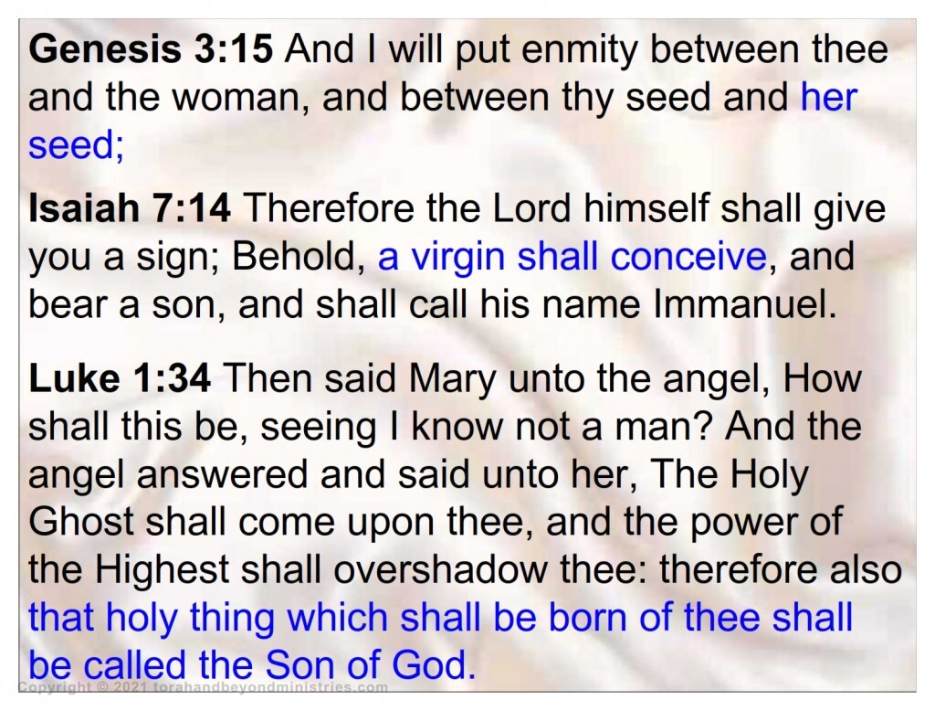 The curse Genesis 3:15 the blessing Isaiah 7:14