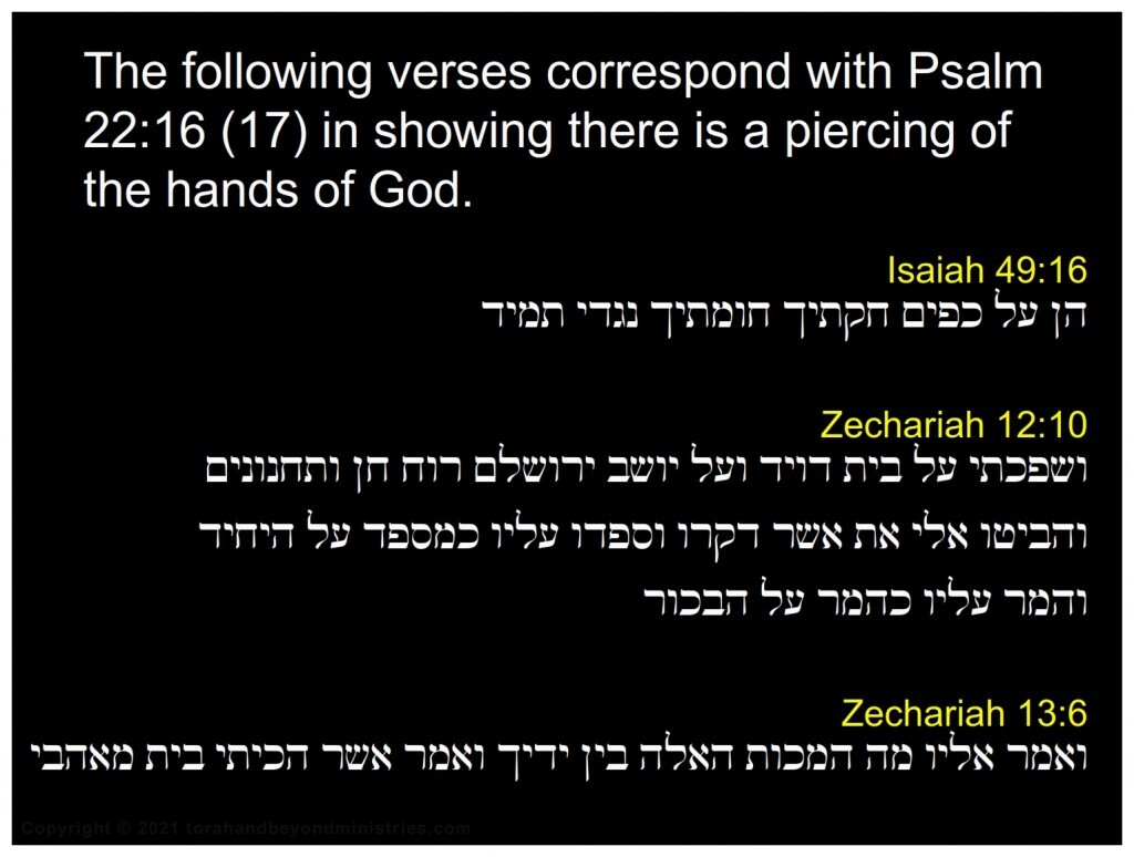 Jesus was pierced Isaiah 49:16,Zechariah 12:10, 13:6 Psalm 22:16