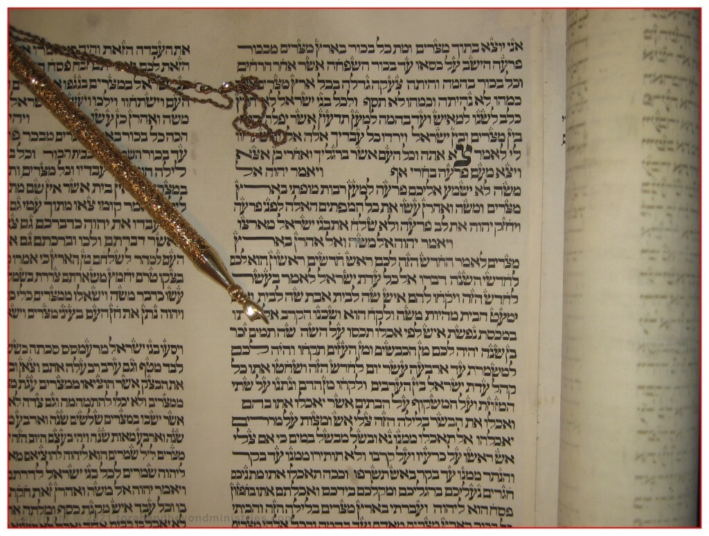 Exodus 12 From Torah Scroll written in Lithuania in the 1700s - Pointing to your lamb shall be without blemish