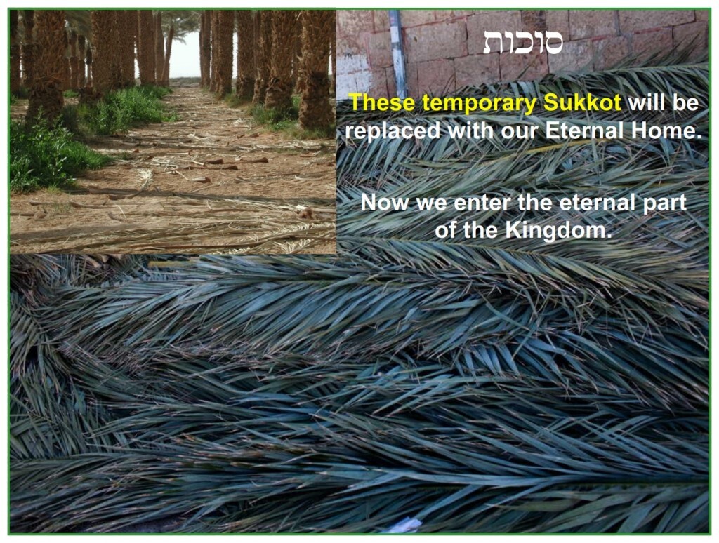 The temporary Sukkot are now dismantled and cast aside for the Eternal Home.