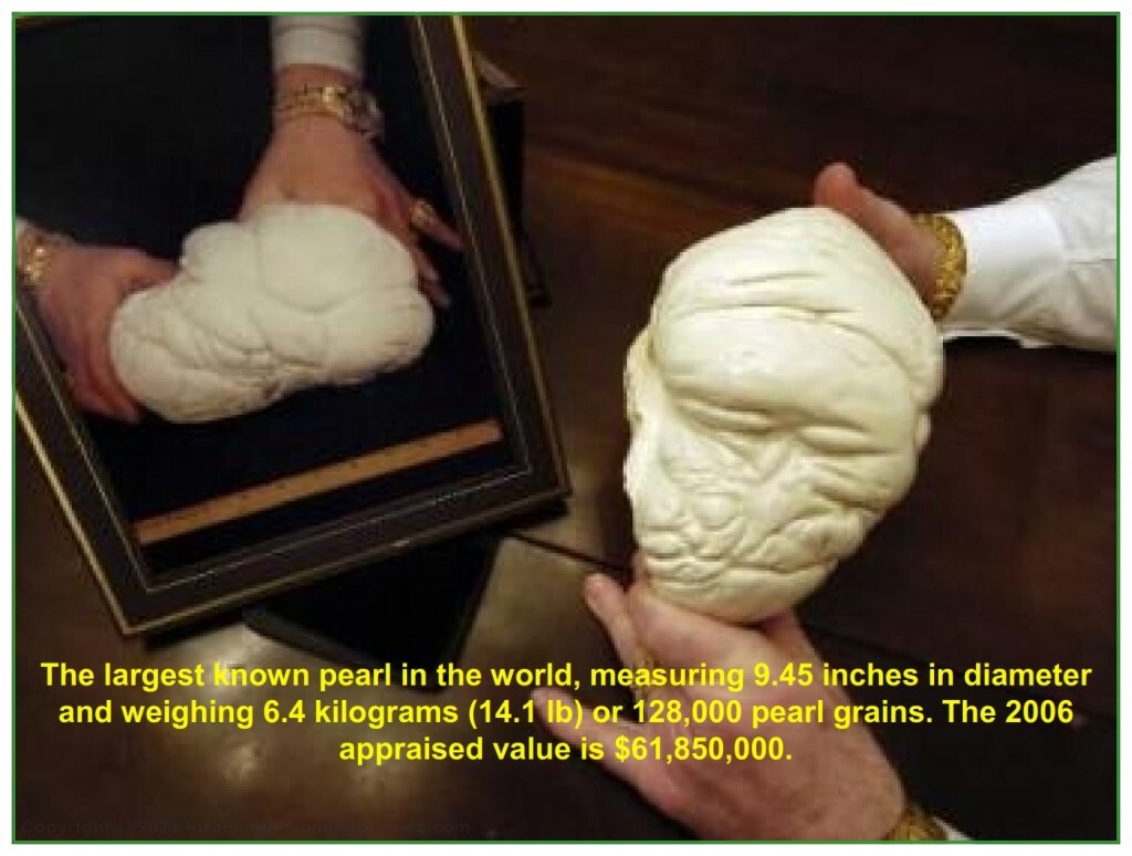 The largest pearl ever found weighs 14.1 pounds and is 9.45 inches in diameter