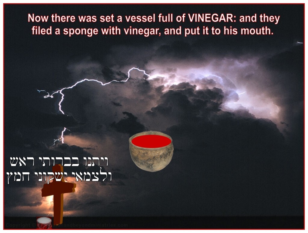 Jesus received the fruit of the vine, not the good fruit, but vinegar, to drink. 