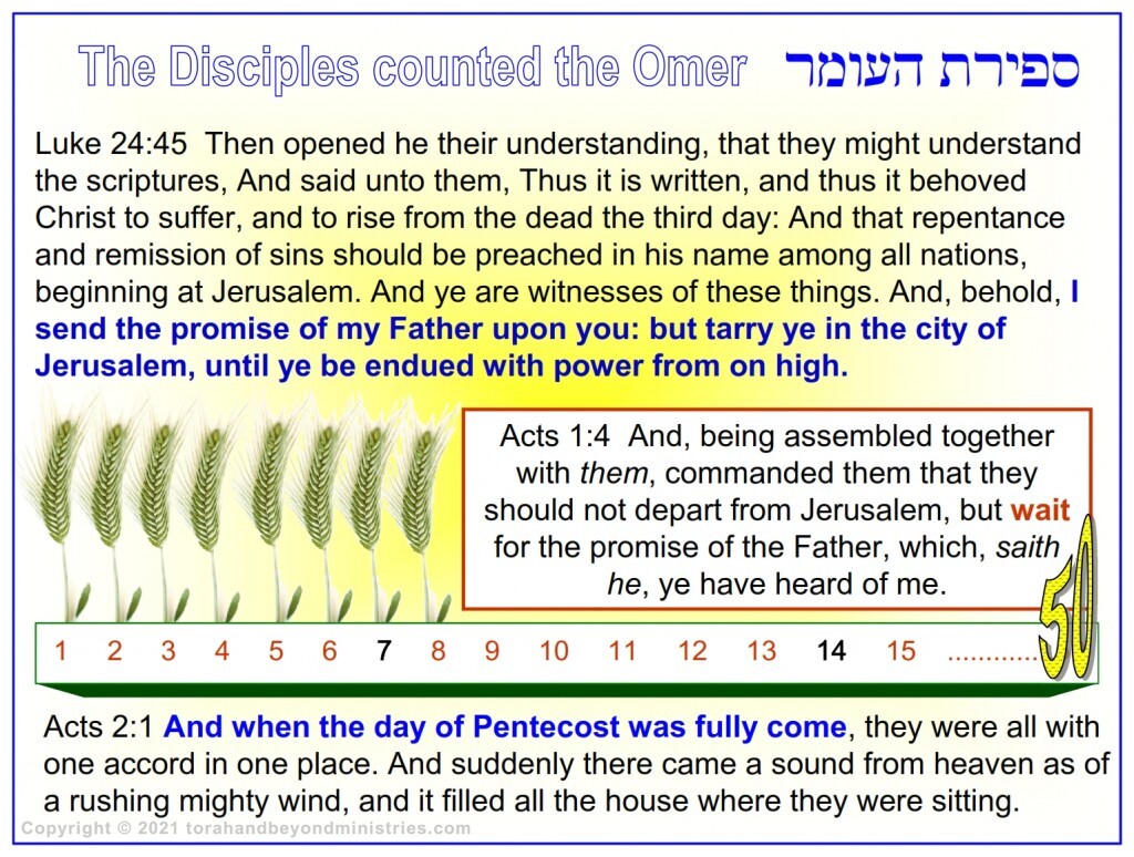 The Disciples knew how to count the days from the Feast of First Fruits to the Feast of Shavuot. 