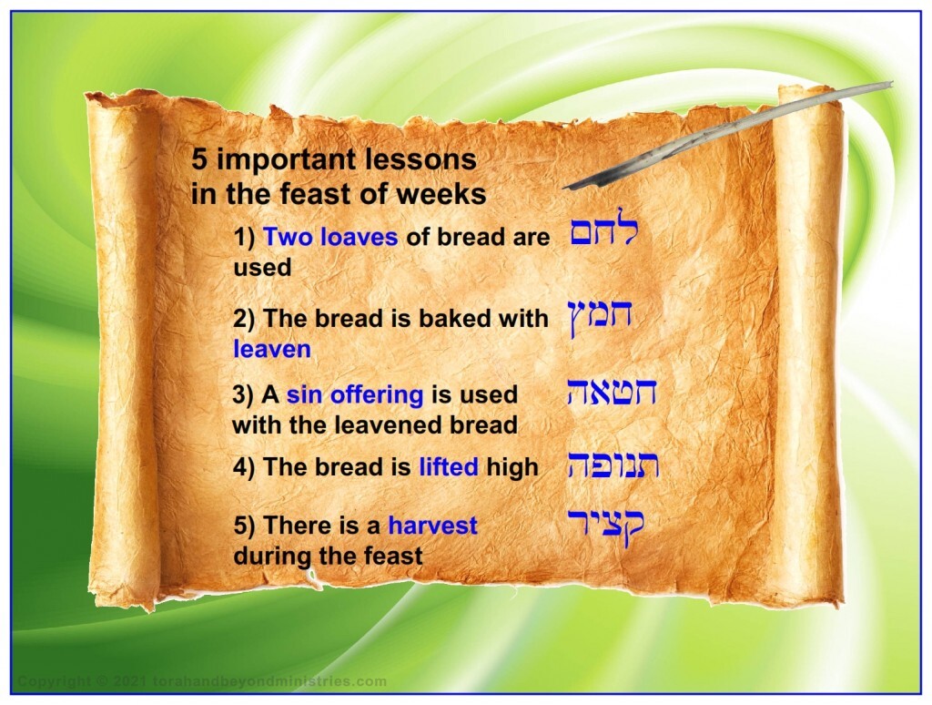 Five important lessons in the Feast of Weeks, Leviticus 23