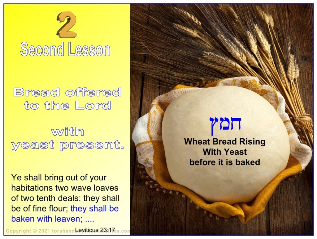 for the Feast of Shavuot, wheat bread rising with yeast before it is baked